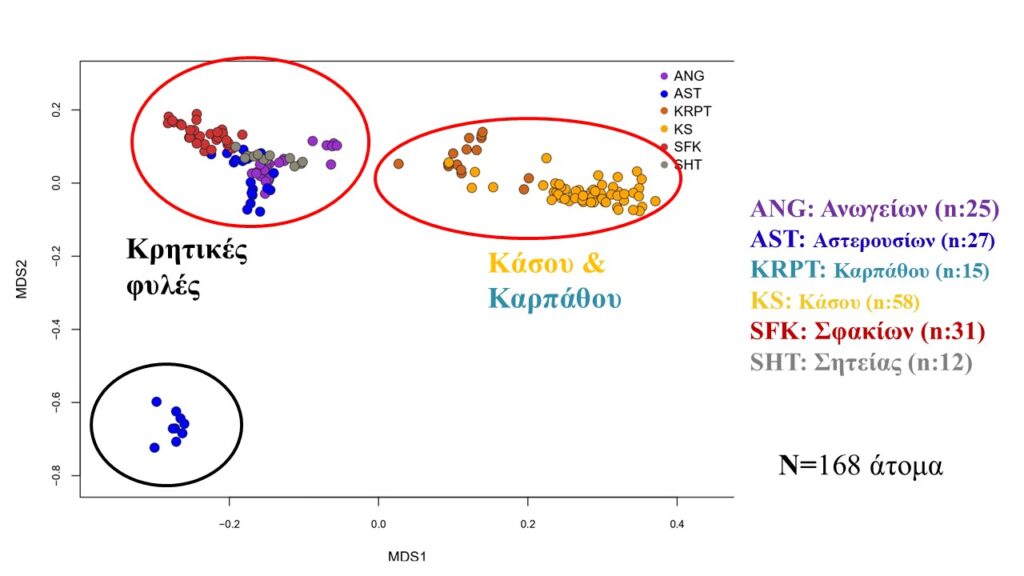 διάγραμμα ατόμων σε διδιάστατο χώρο με την multidimensional scaling ανάλυση