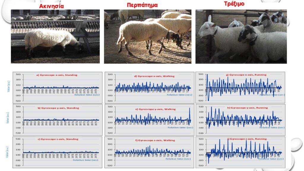 απεικόνιση της δραστηριότητας των ζώων μέσω των συσκευών εντοπισμού