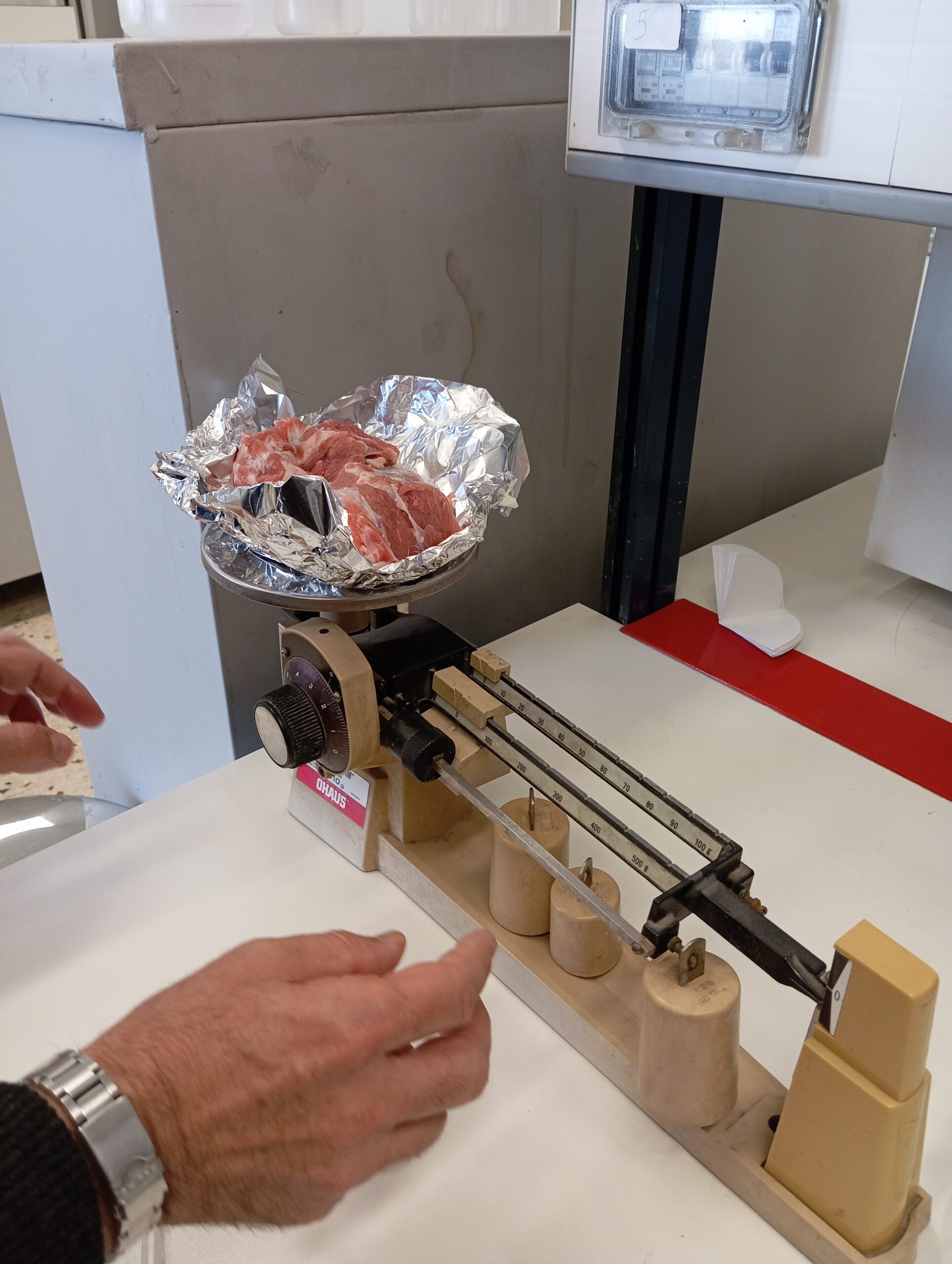 ζύγιση κρέατος & προετοιμασία για τις αναλύσεις