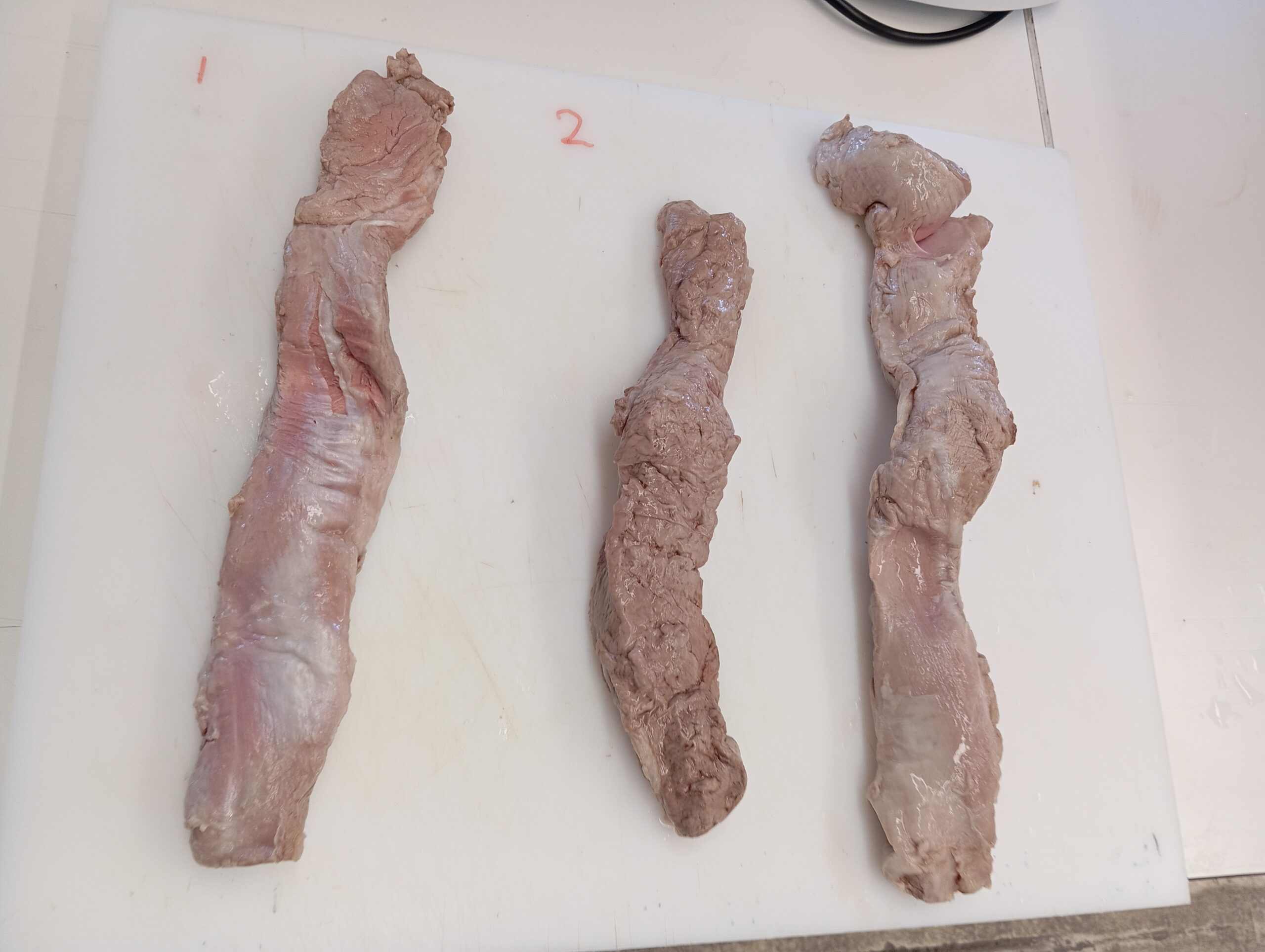 δοκίμια κρέατος για την εκτίμηση της τρυφερότητας